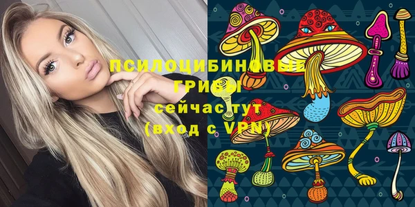 индика Алексин