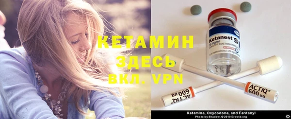 индика Алексин