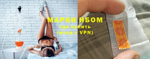 стаф Абаза