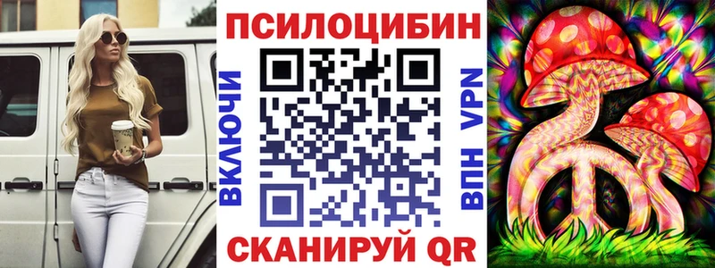 мориарти формула  купить наркотик  Новочебоксарск  Псилоцибиновые грибы мицелий 